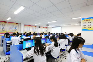 各專業(yè)學(xué)生就業(yè)方向 會(huì)計(jì)電算化 食品營(yíng)養(yǎng)與檢測(cè)